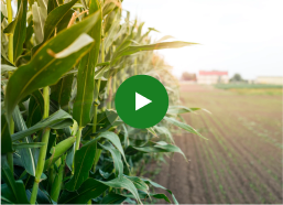 papeis sustentaveis reciclados