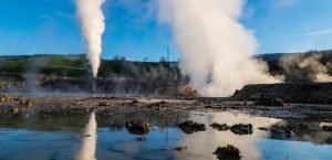 Article Media manifestazioni naturali