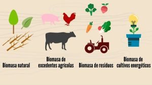 TIposBiomasa